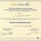 Certificat Coach Professionnel
